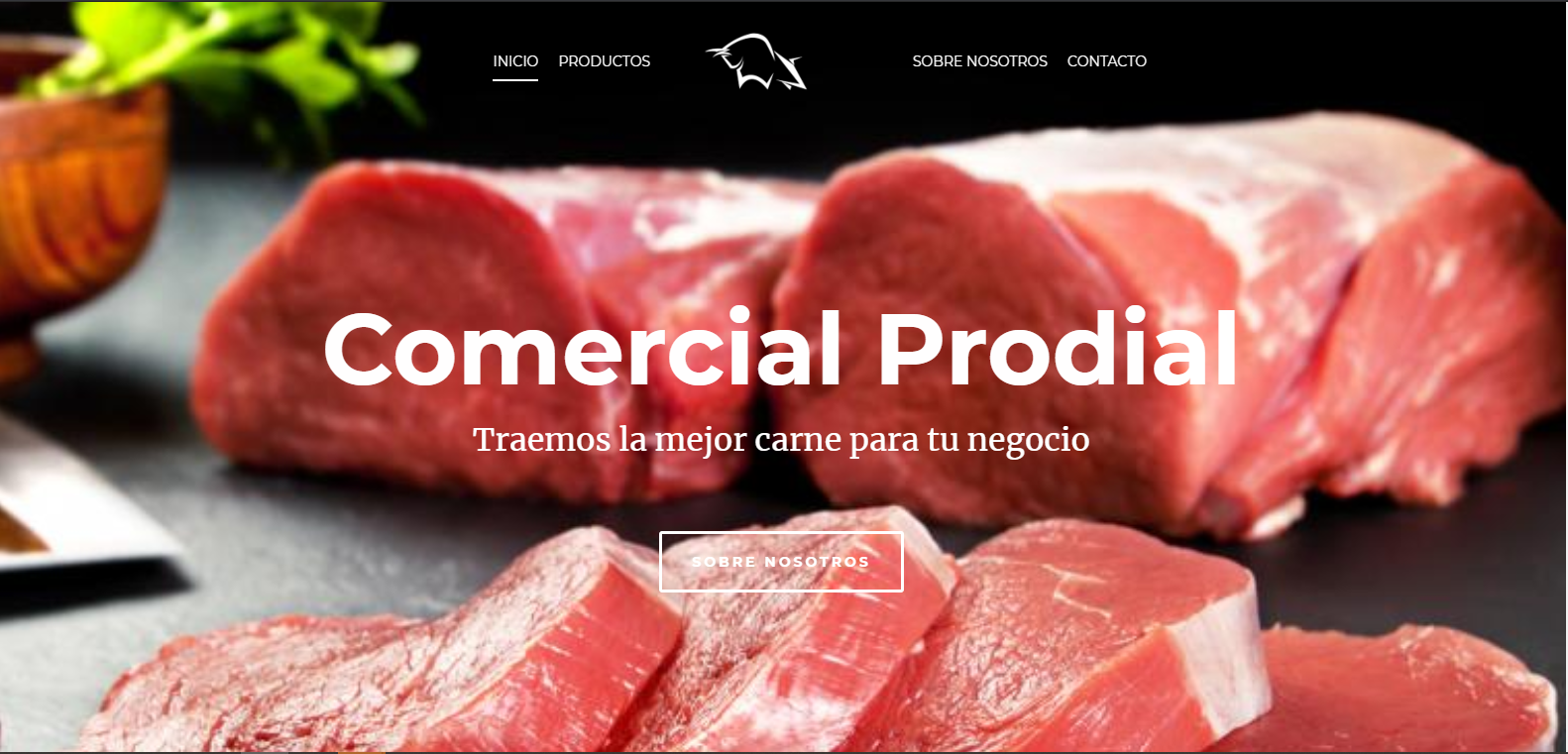 Sitio Web Prodial